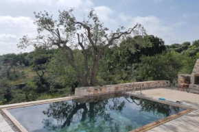 Trullo Piccola Lucertola in Valle d’Itria… Ceglie Messapica